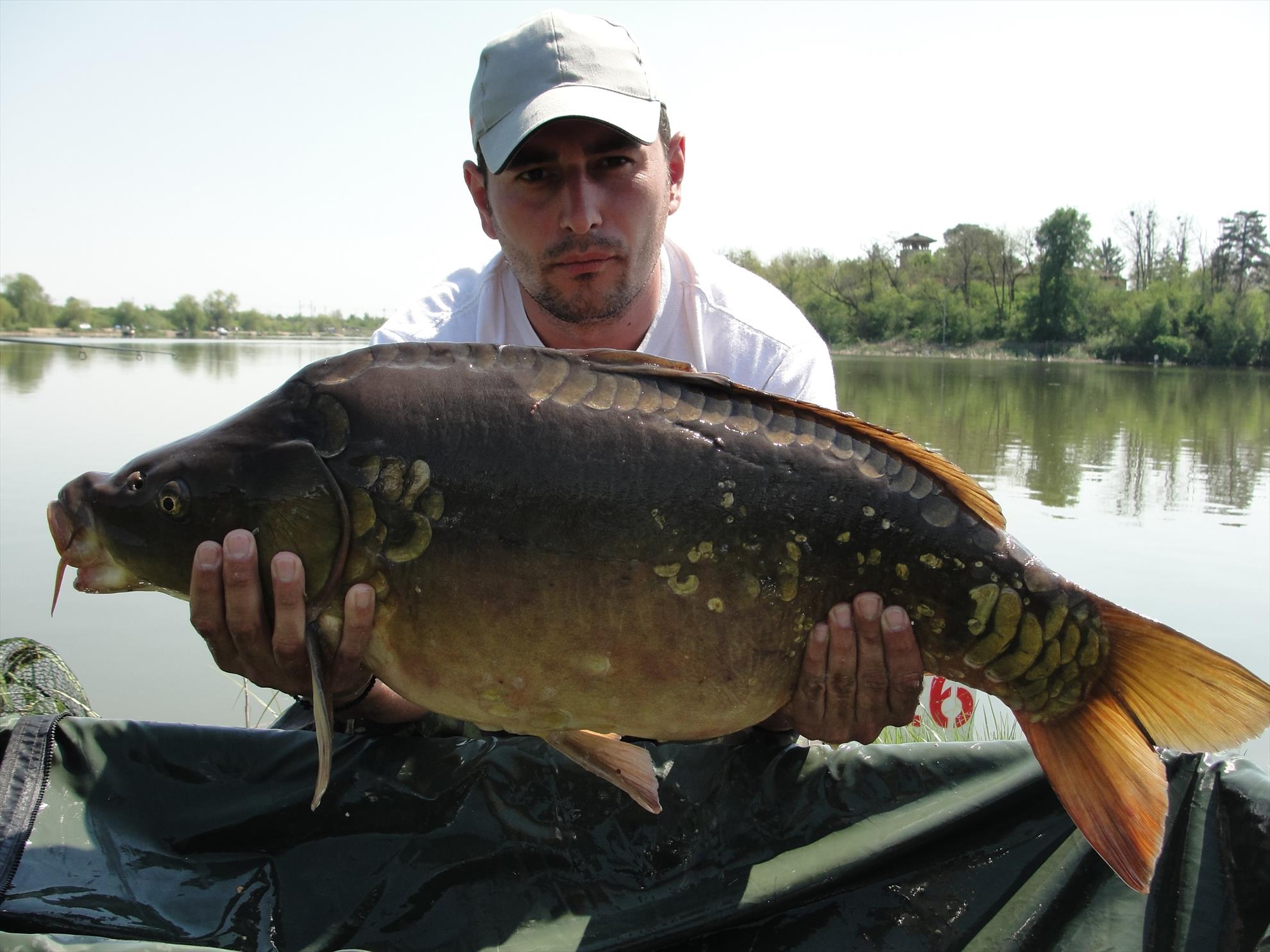 Peris 2015  - dsc00944.JPG